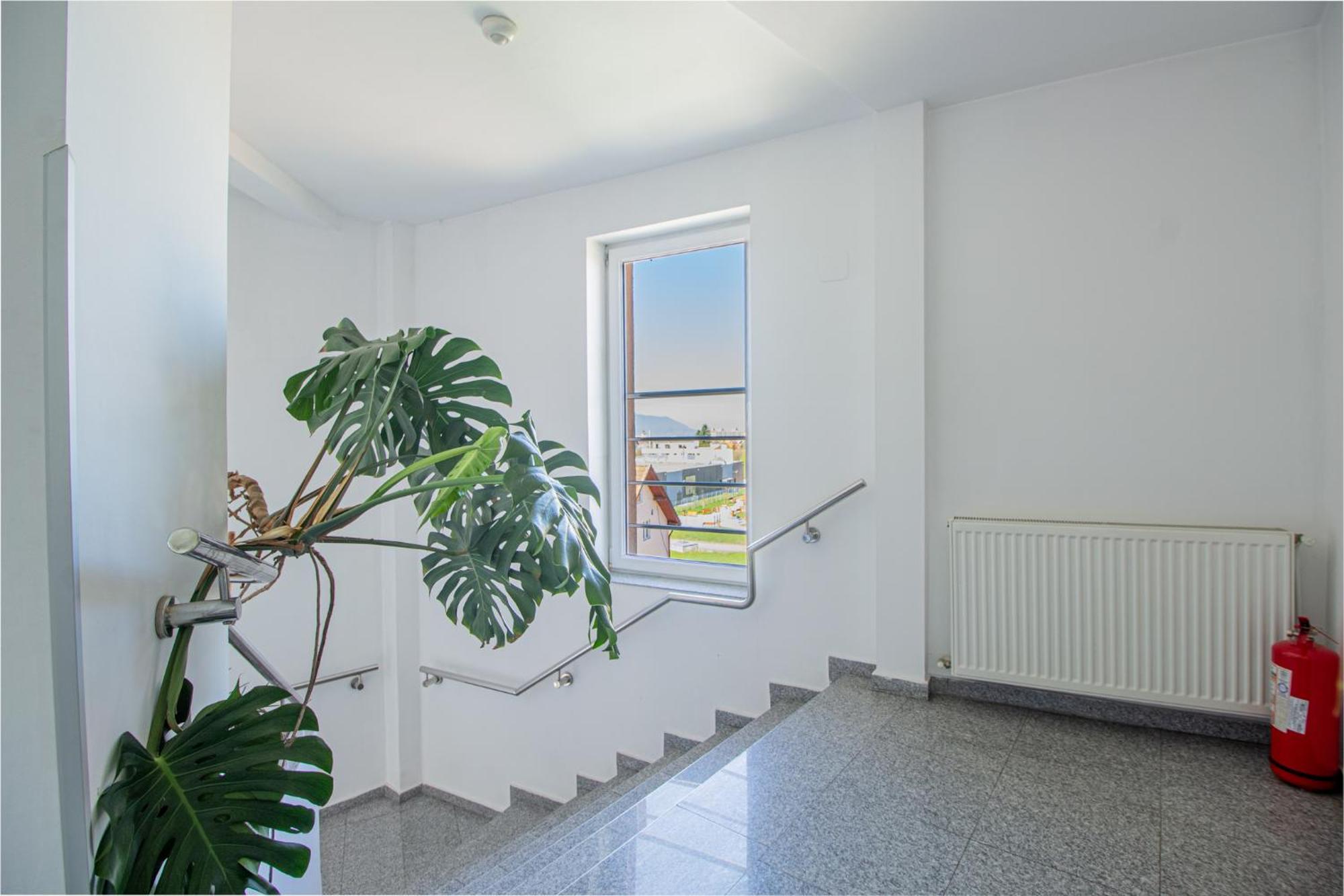 Casa Muresan Braszów Zewnętrze zdjęcie